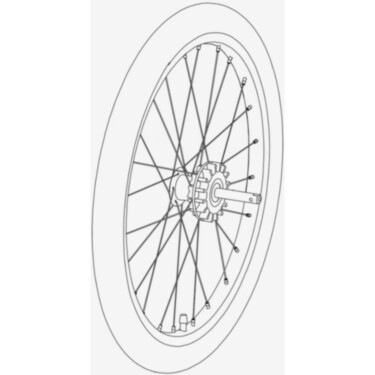 Wheel assembly -  Coaster XT