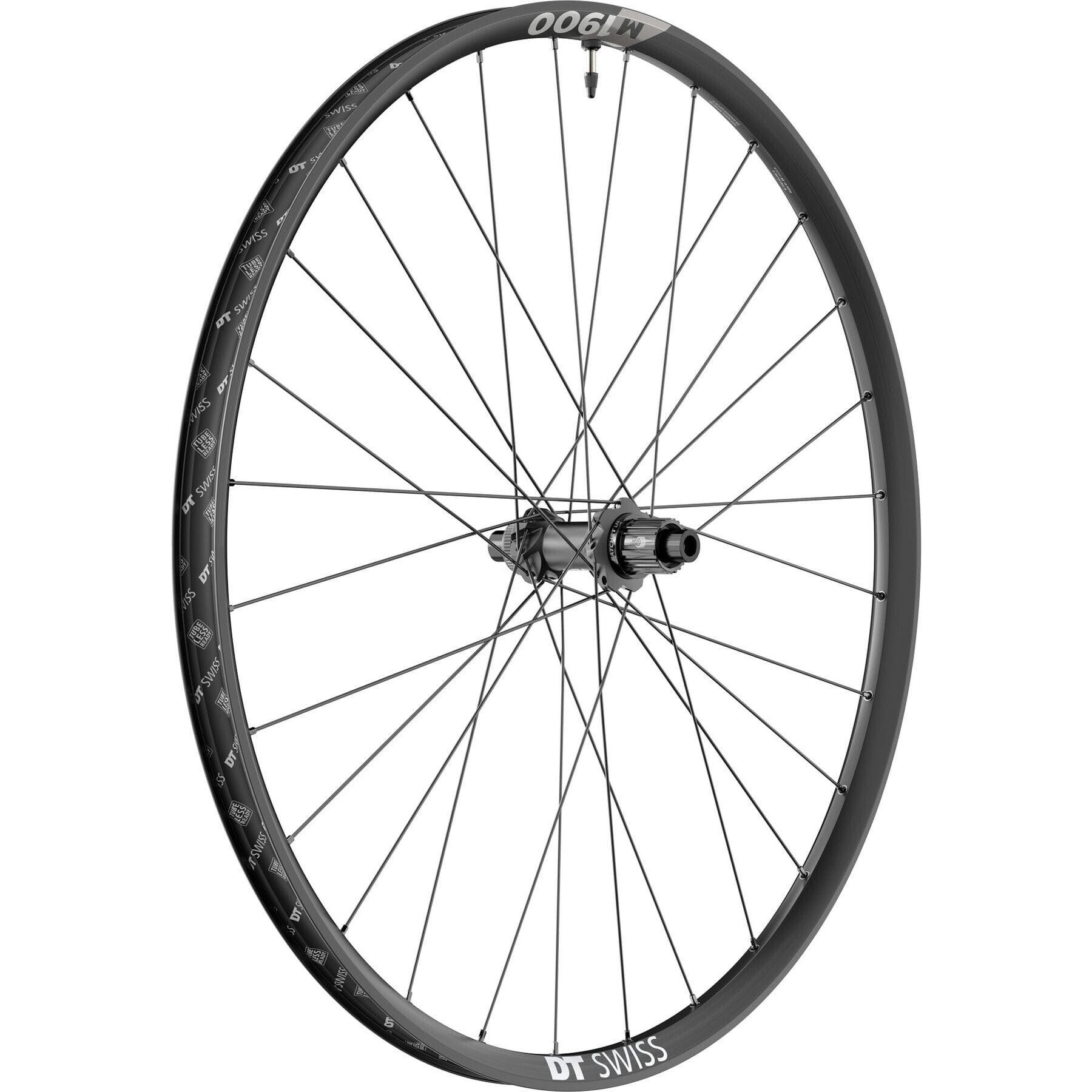 DT Swiss M 1900 wheel