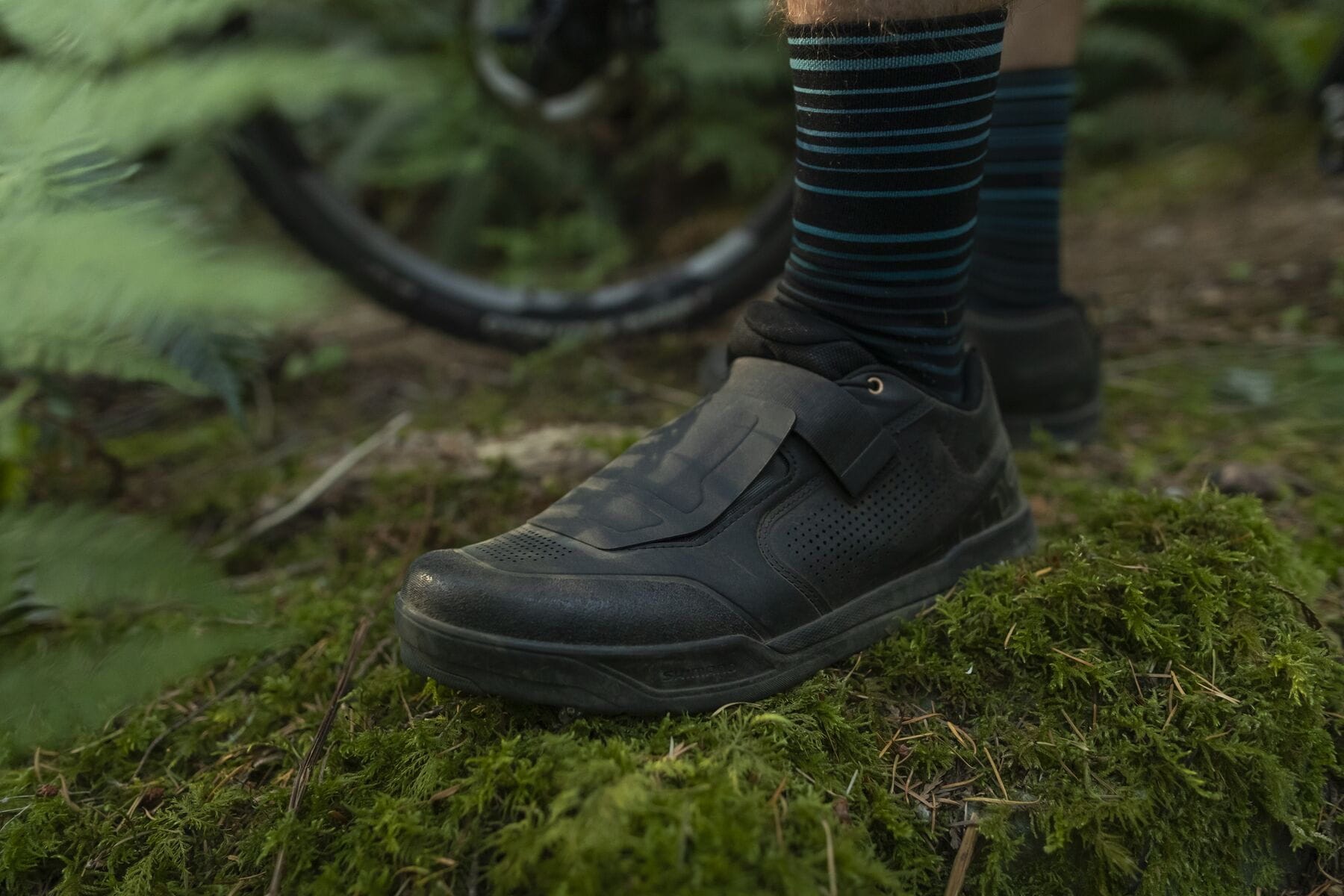 Shimano am 9 on sale