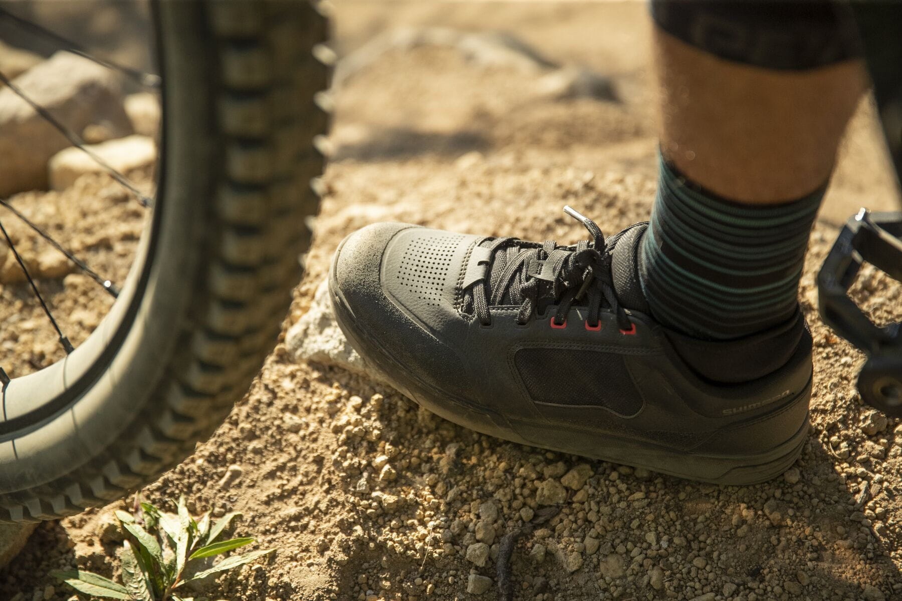 Shimano gr9 flat pedal outlet mtb shoes