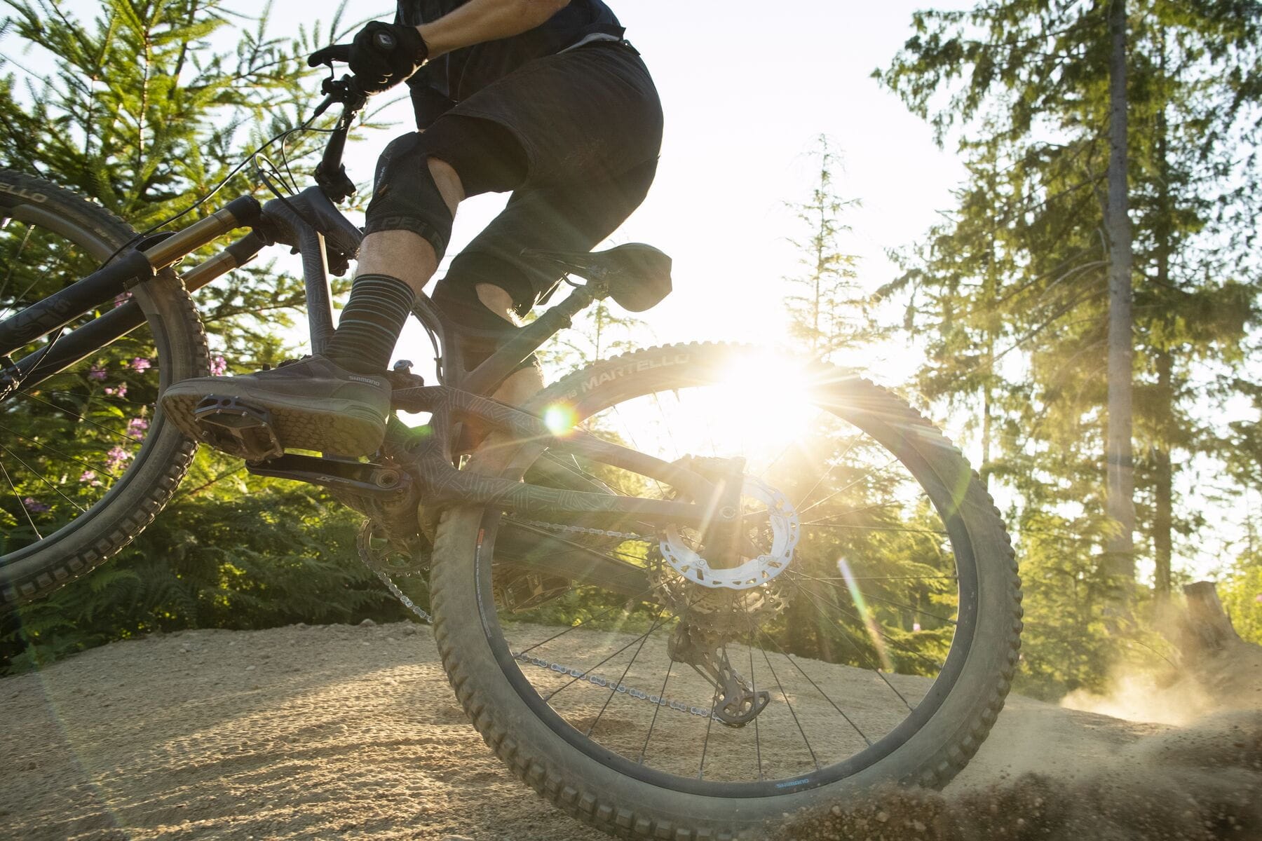 Freeride mountain bike shoes sale