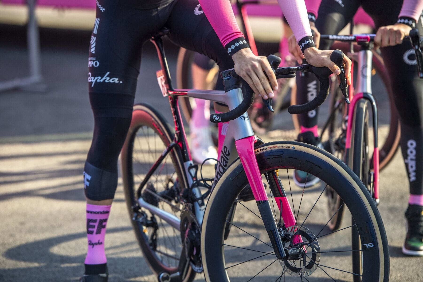 Vittoria road bike tyres sale