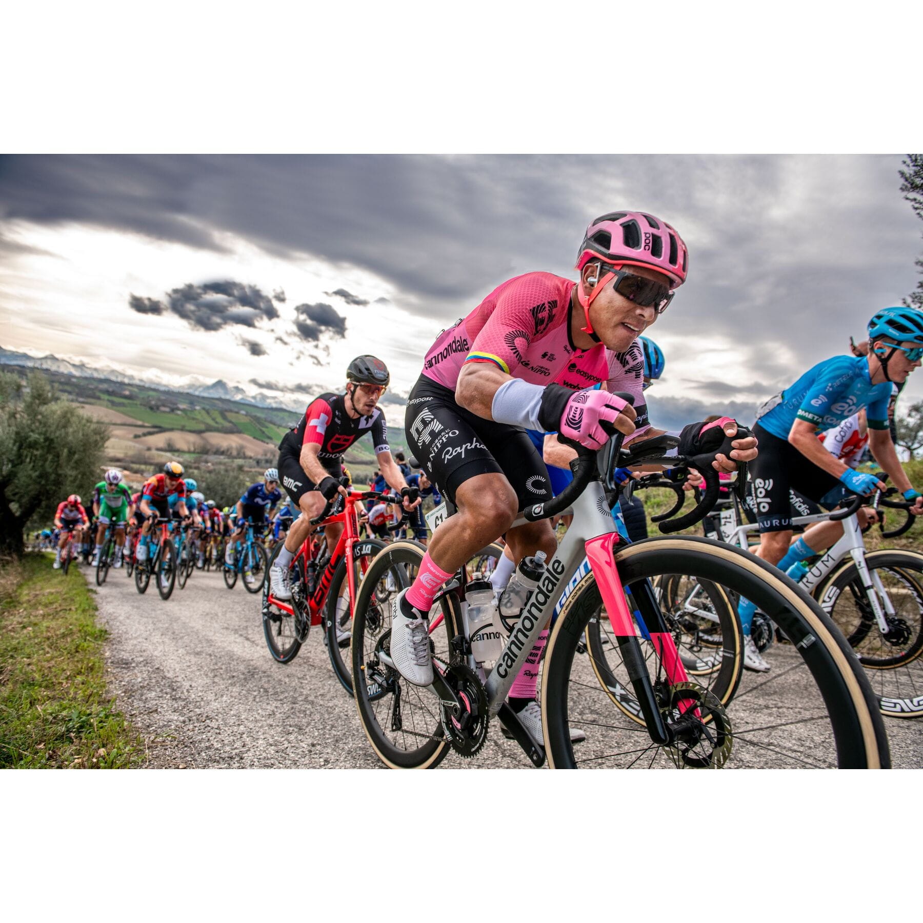 Vittoria road shop tyres