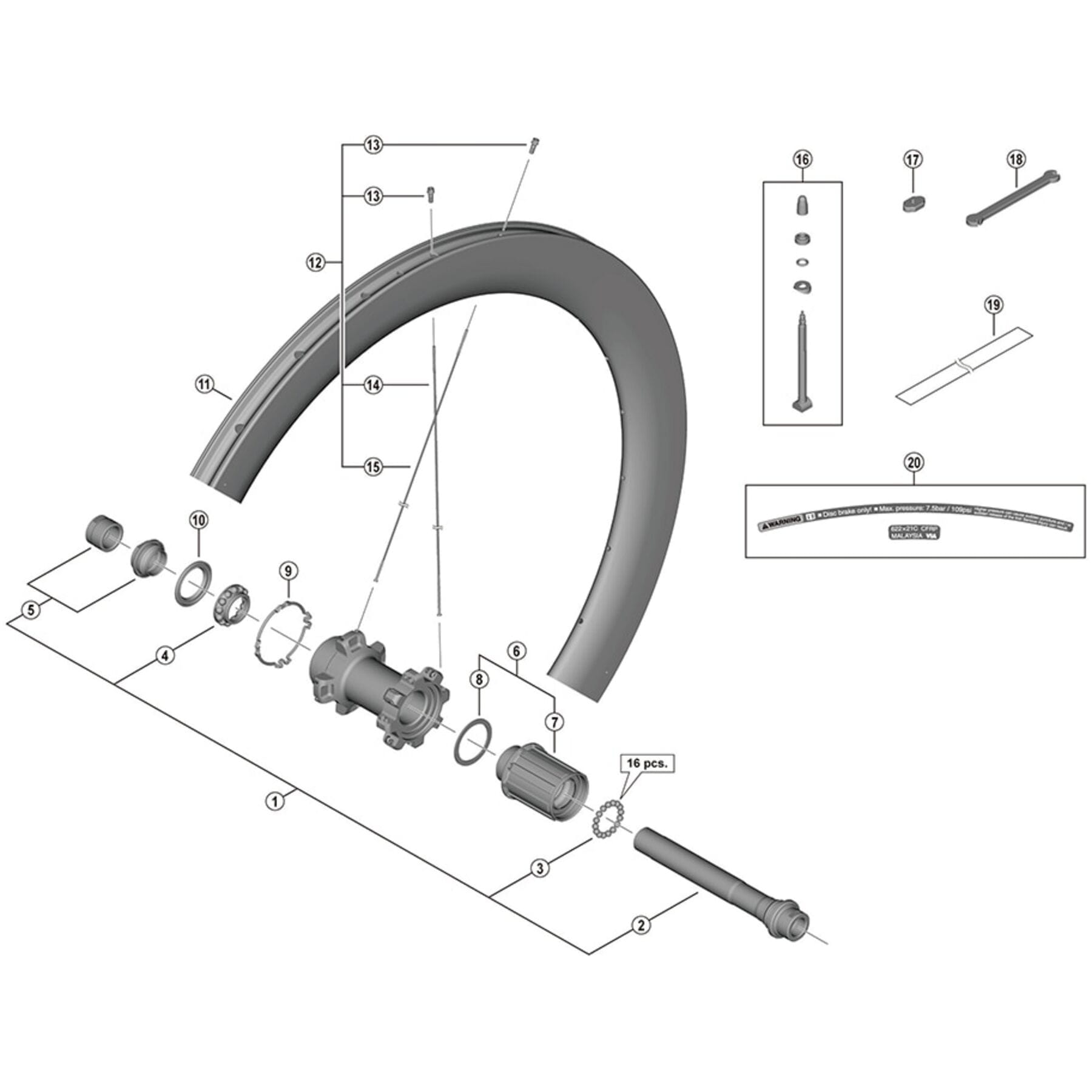 Shimano Spares WH-R8170-C60-TL-R left hand spoke