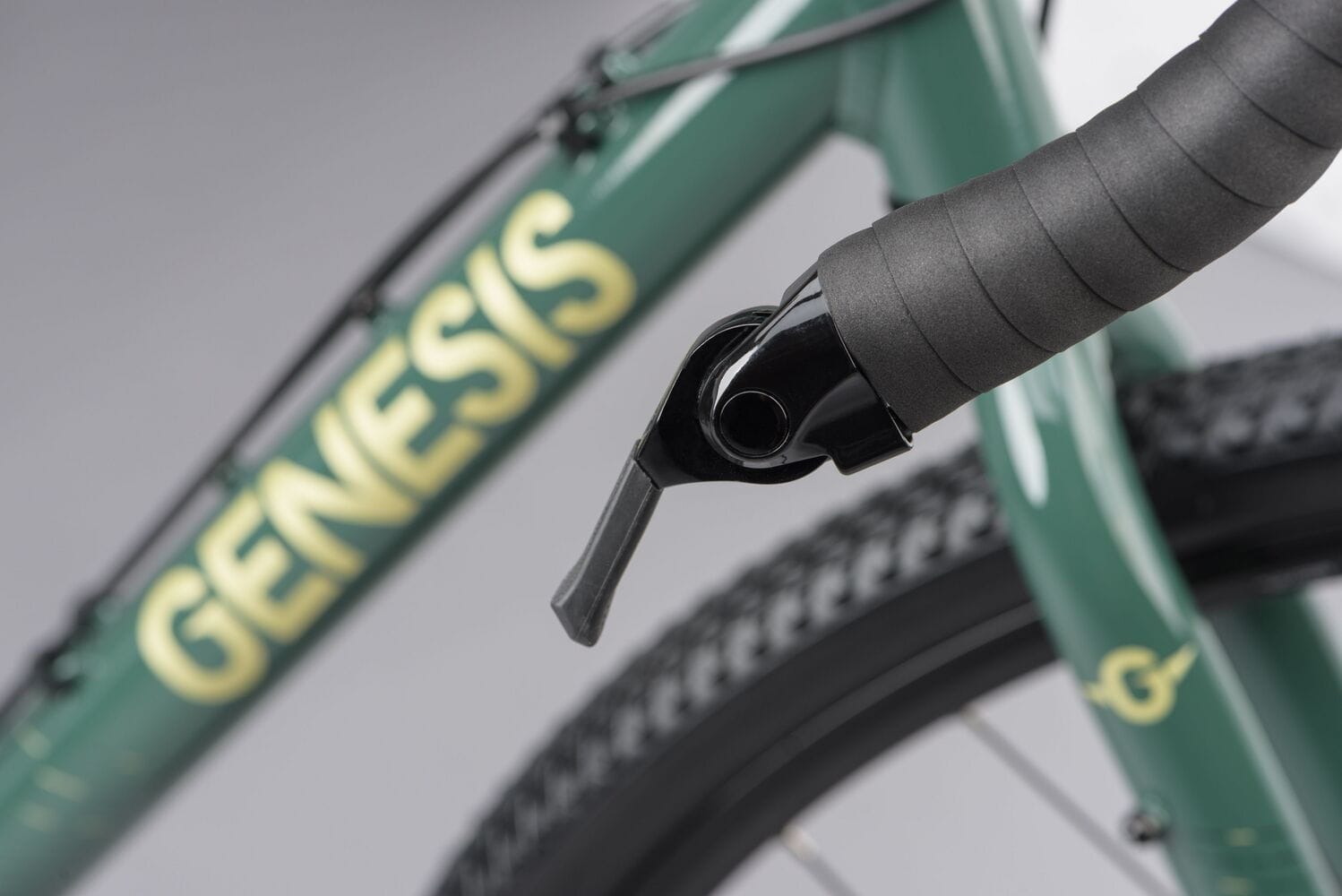 Ridgeback genesis day 01 shop