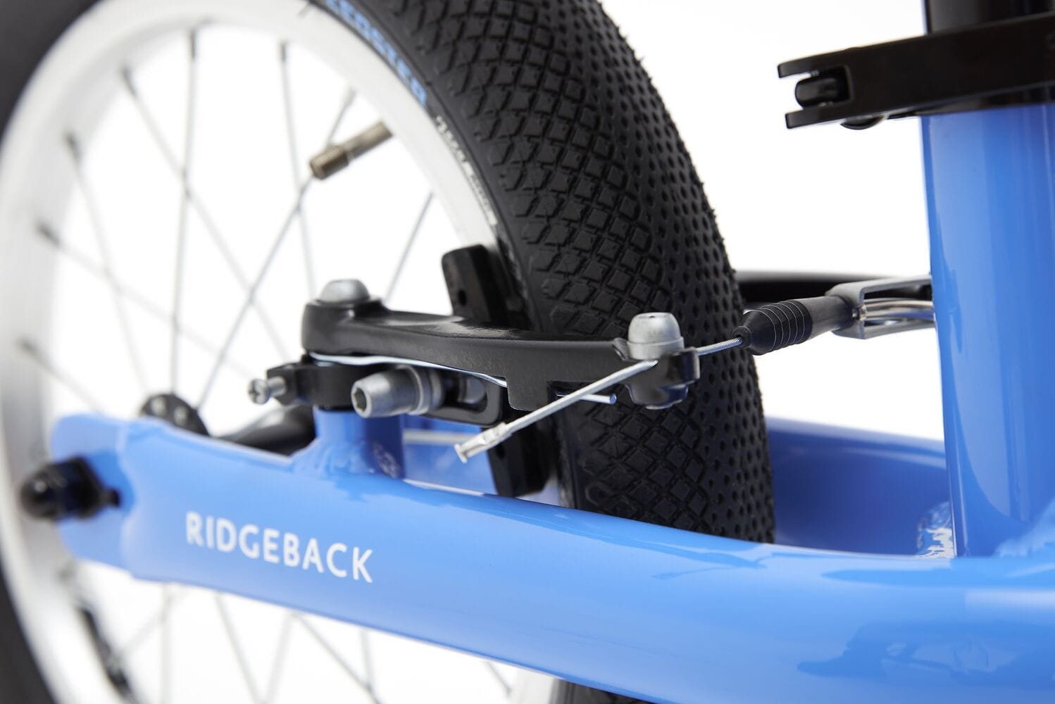 Ridgeback scoot best sale xl 2021