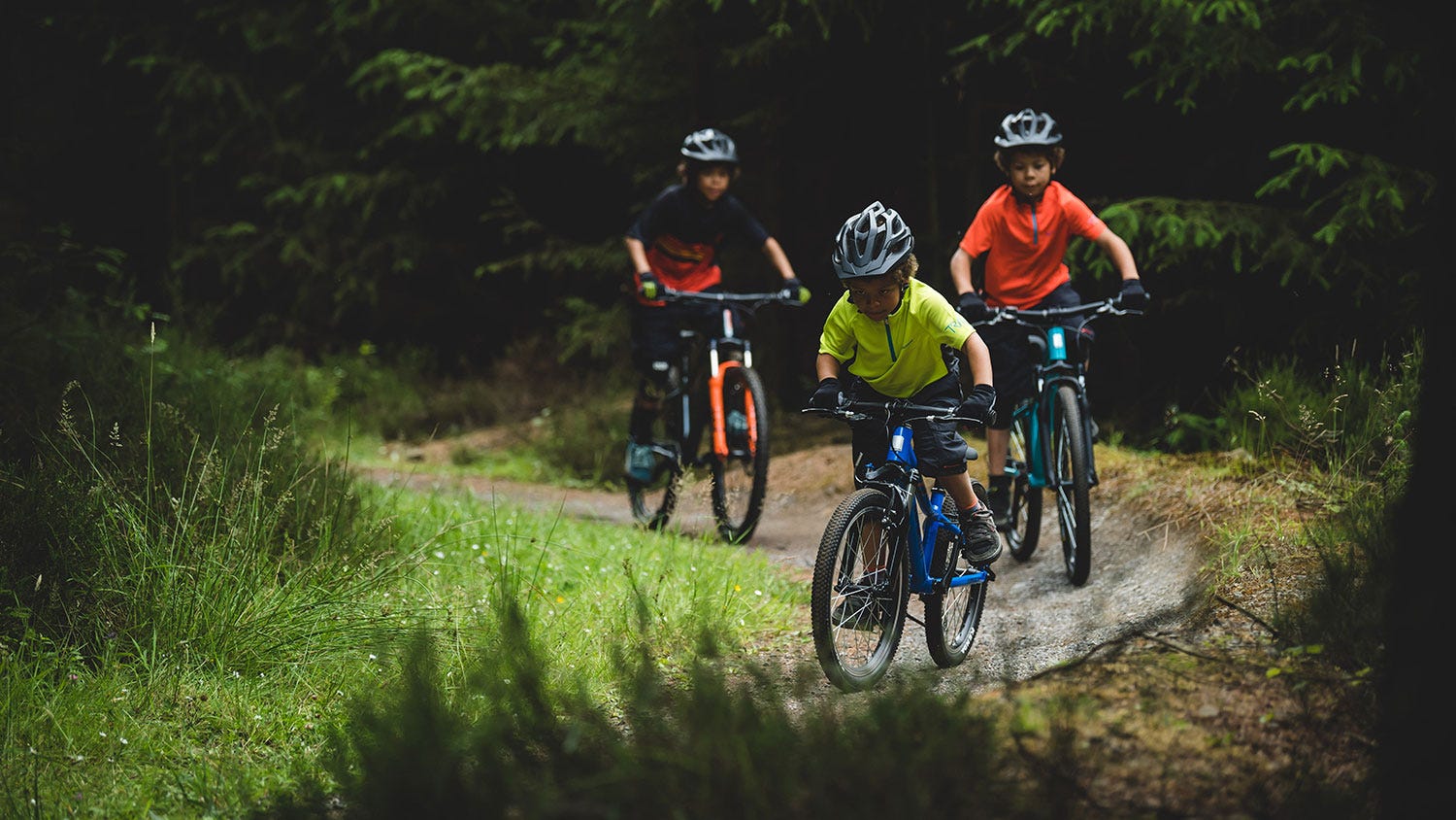 Kids Bike Buying Guide